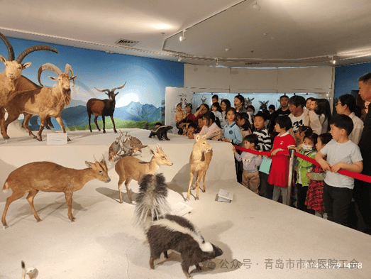 青岛市市立医院组织开展职工子女"博物馆体验日"活动_动物_贝林_家长