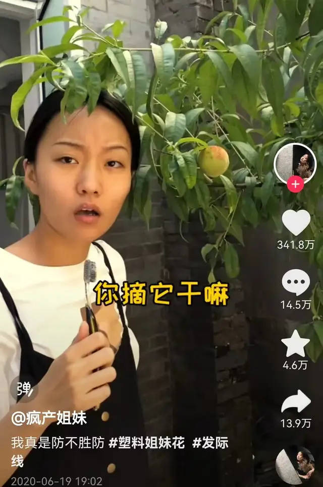 网红疯产姐妹突然回归,继续合伙赚大钱