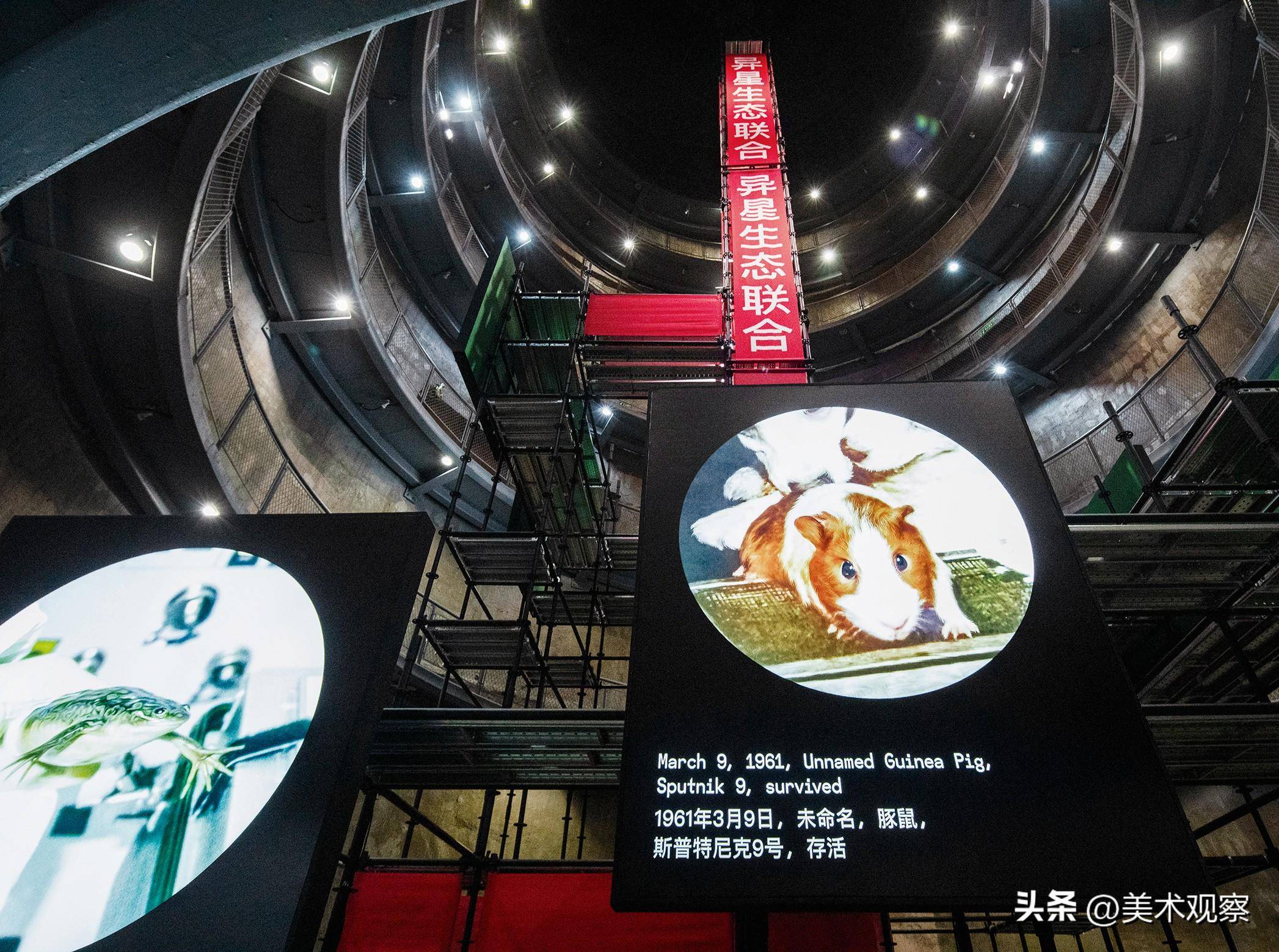 漫游在广阔的中间地带_宇宙_电影_展览