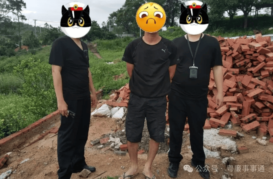 廉江陈某,张某纳涉嫌多起盗窃被抓捕!