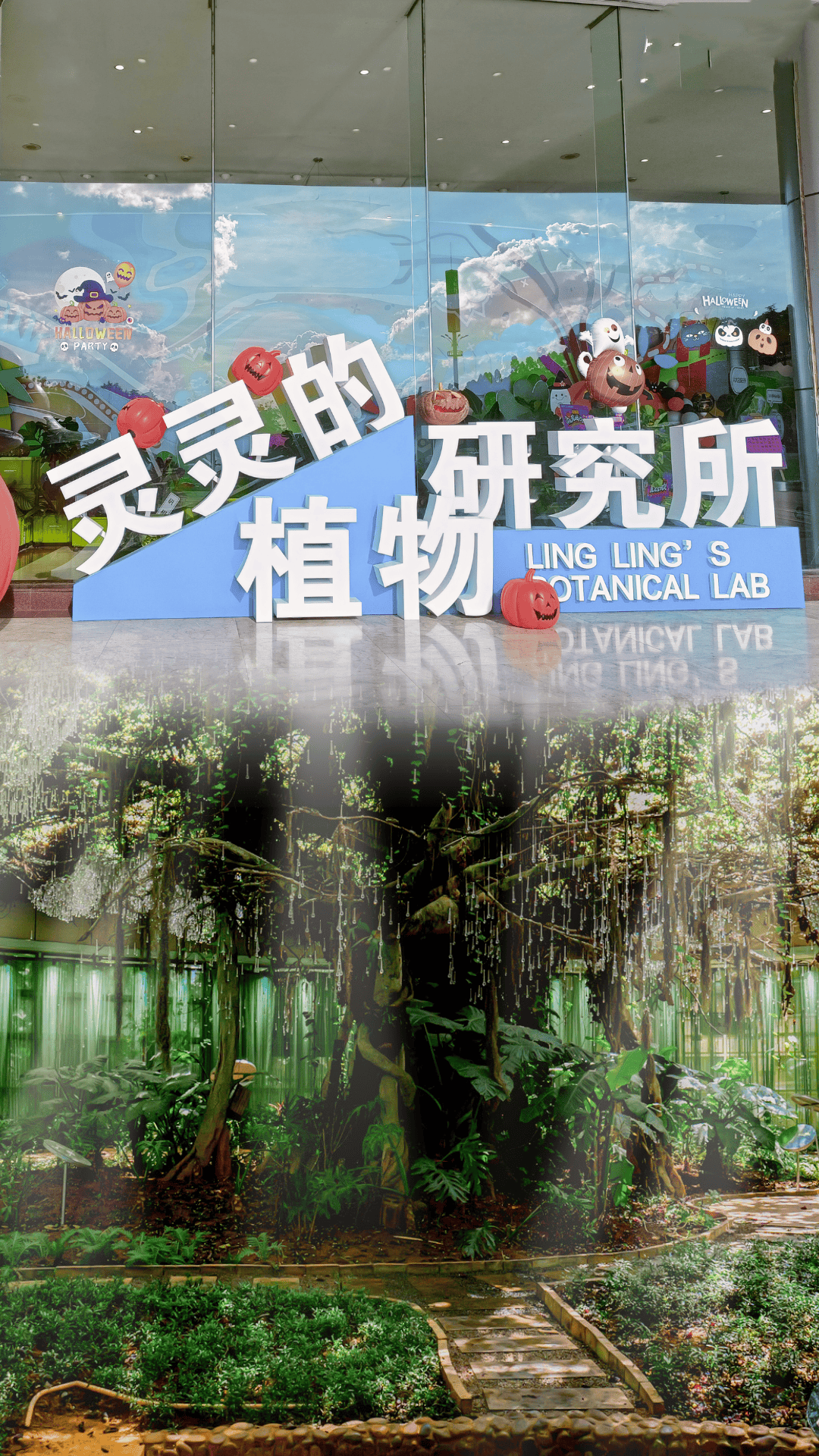 这个六一,到盘龙玩转『魔法世界』,观察『神奇动物』
