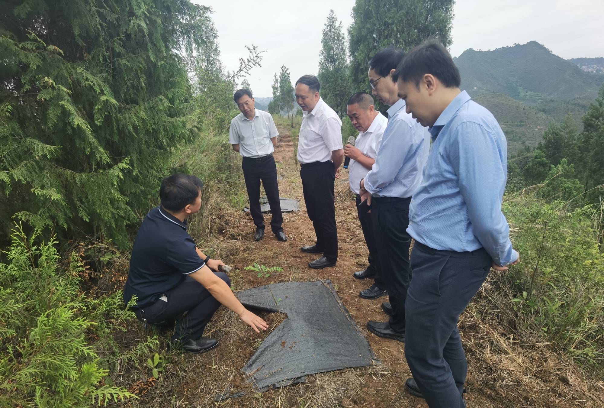 贵州石漠化综合治理与水源涵养项目顺利推进