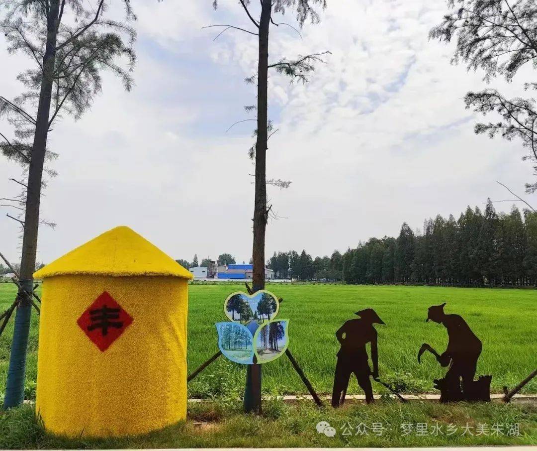 梅赞┃初夏朱湖_文兄_麦浪_布谷鸟