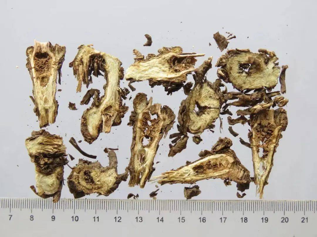 艾草,菖蒲,薄荷,藿香,苦楝花,樟脑,丁香,樟脑等中药都具有驱蚊的功效