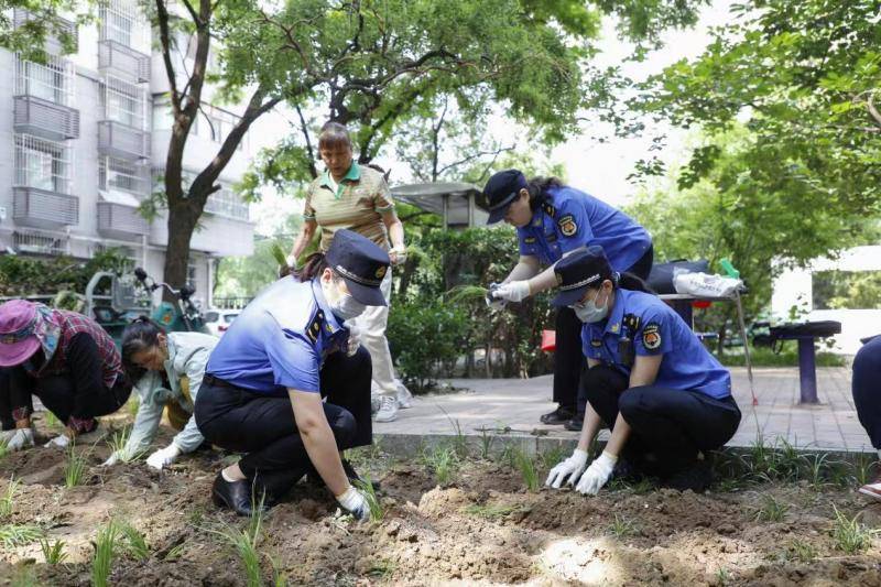 北京日报:澳门一肖一码100-城市：金牛林芝“联谊” ，城市价值品质推介走进西藏