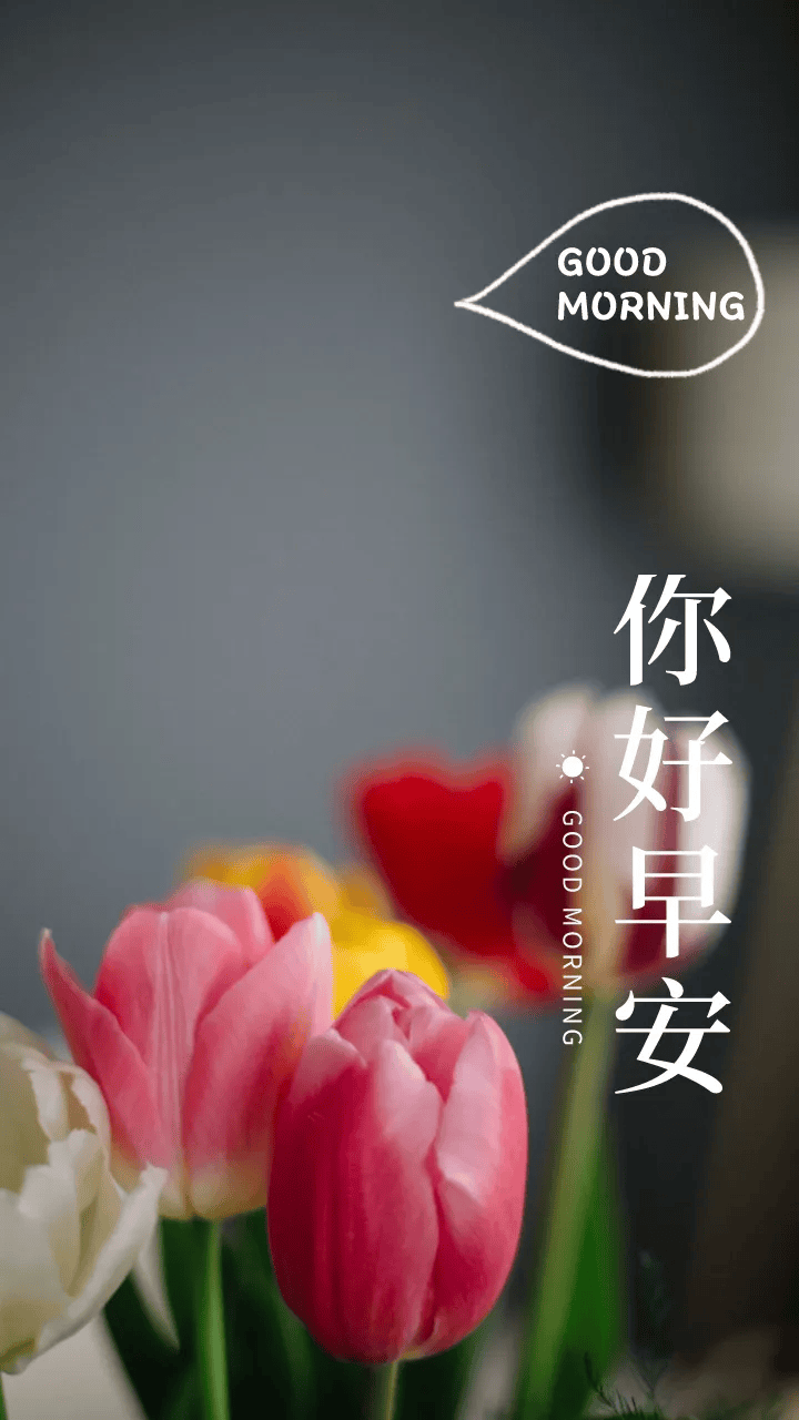 今天是6月2日!美好的一天开始了