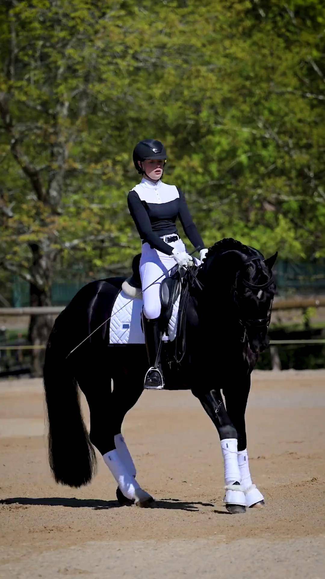 女骑 骑马的女人最美丽 盛装舞步 马场马术