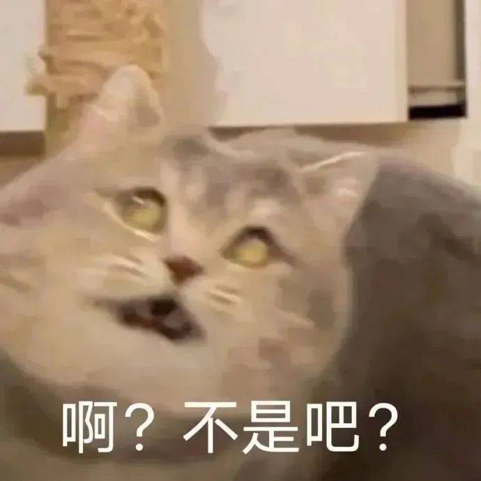 嗷呜~会害羞羞脸红的表情包