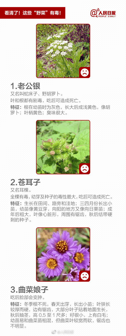 "夫妻俩吃完,双双中毒!