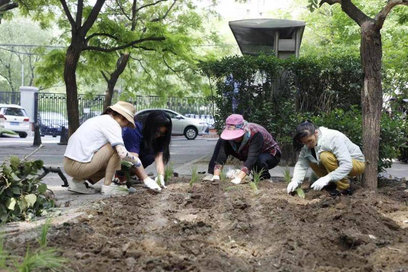 中国电力新闻网 :管家婆一码一肖资料-城市：城市“出逃”记 “趣”玩去撒欢  第5张