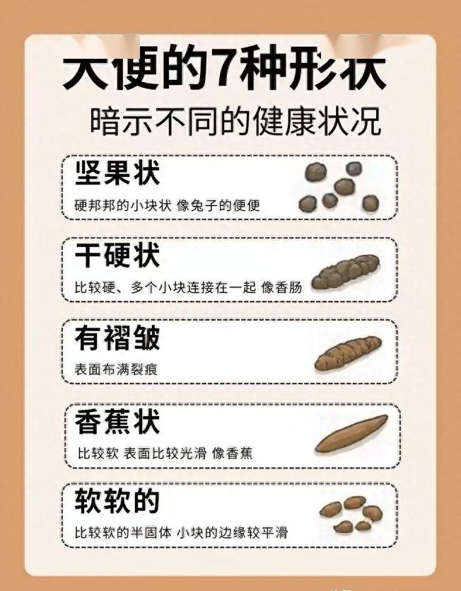 大便形状全攻略:从坚果状到香蕉状,你属于哪一种?