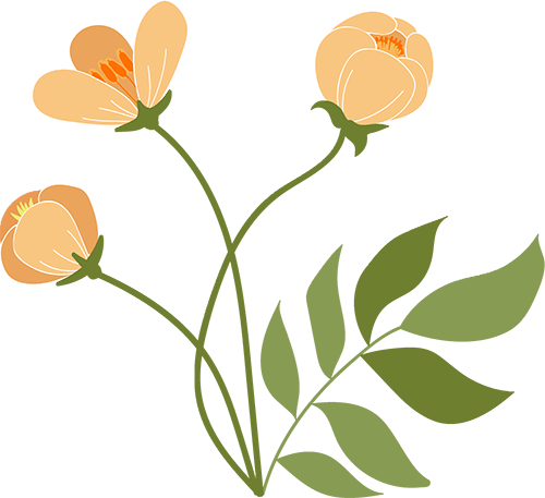 2024年"绿书签行动"活动海报和书签