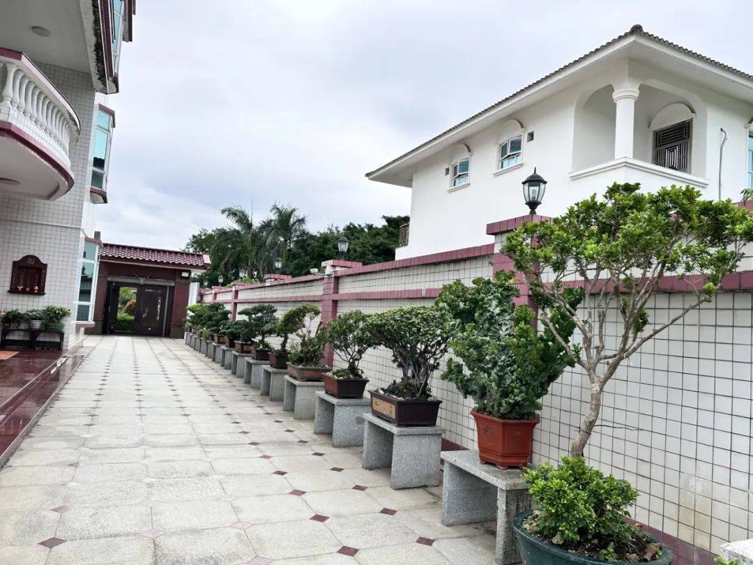 "美丽庭院"接力"晒"丨小庭院里的"诗和远方"