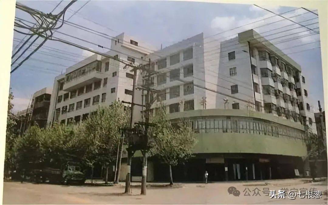合江中学校花图片