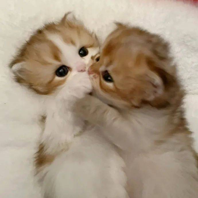 好看又独特的微信头像