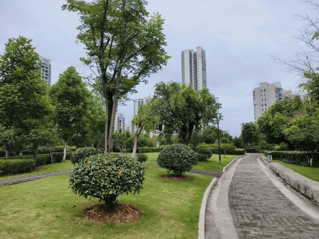 小游园大变化,装满群众幸福感_景观_管理_病虫害