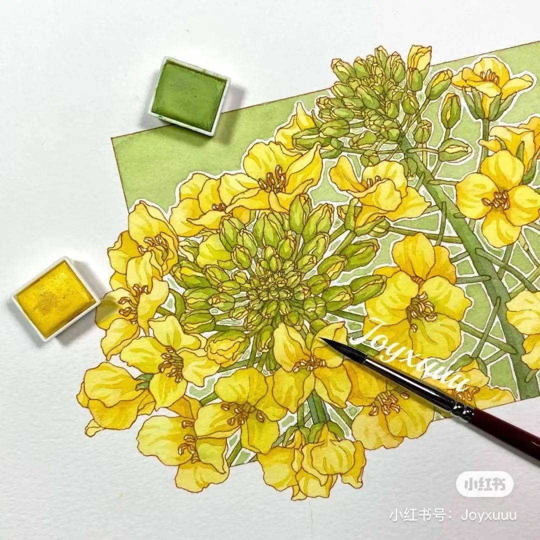 58张水彩线描装饰画,冷暖搭配,疏密有度,色彩大饱眼福,超赞!