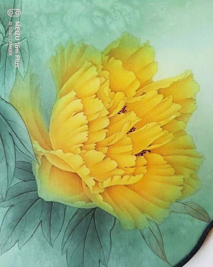漂亮的工笔黄,紫牡丹团扇,这样画的!