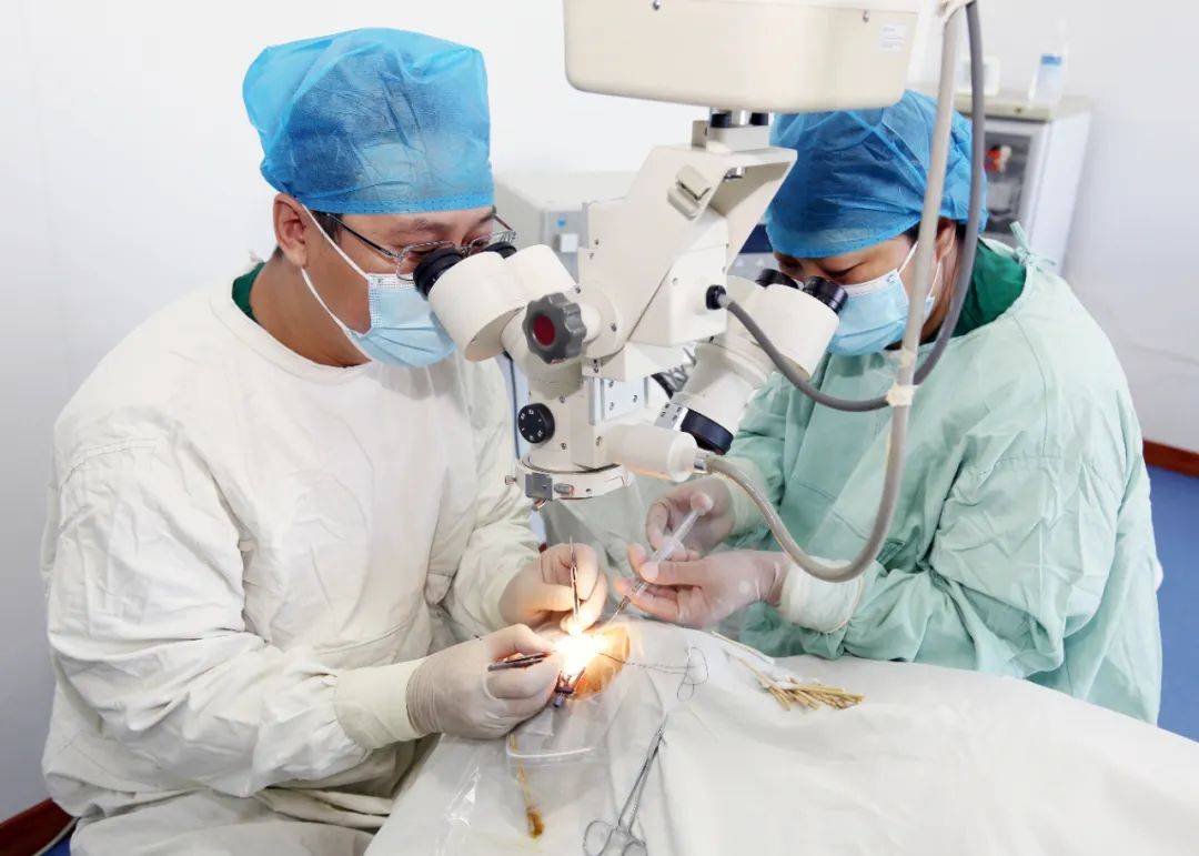 对复杂性难治性青光眼进行手术和药物治疗