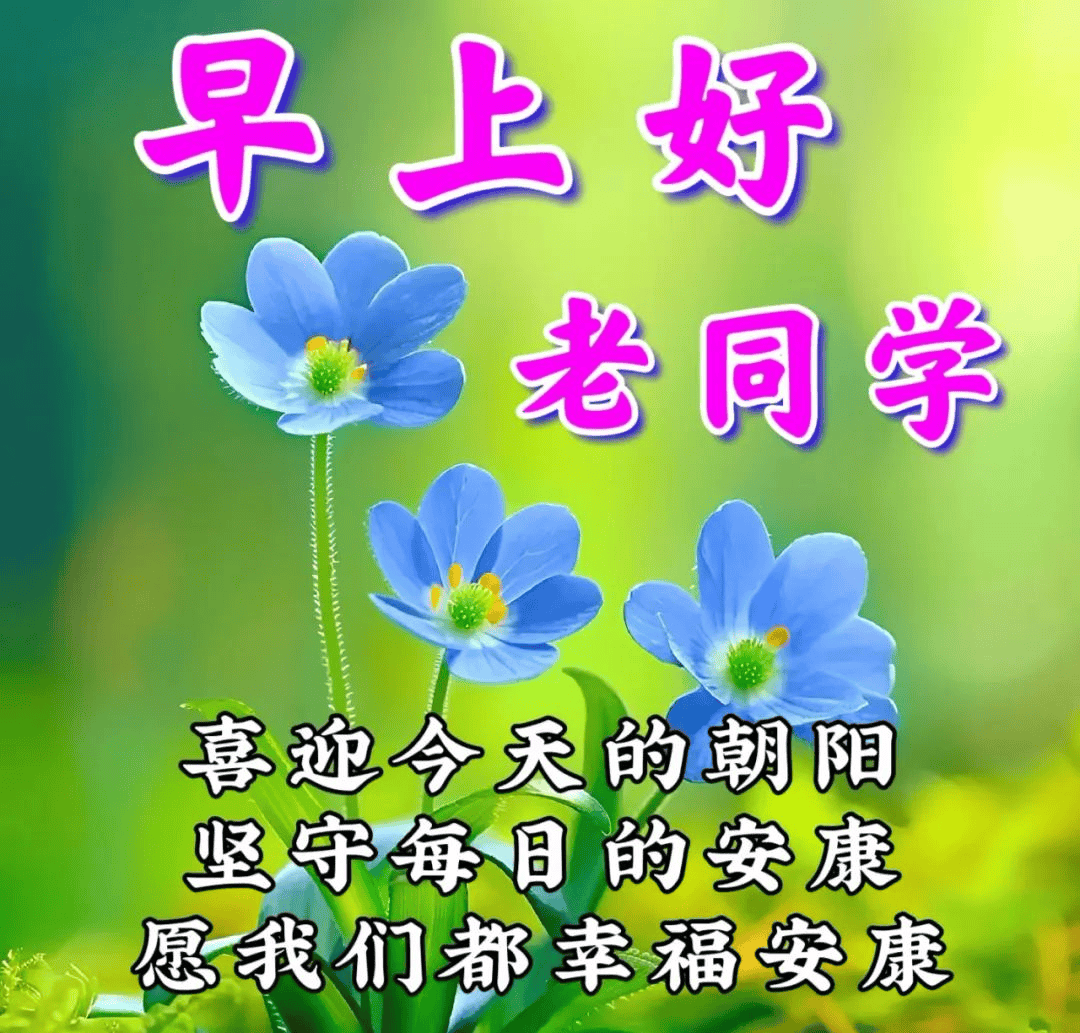 祝福老同学早安图片图片