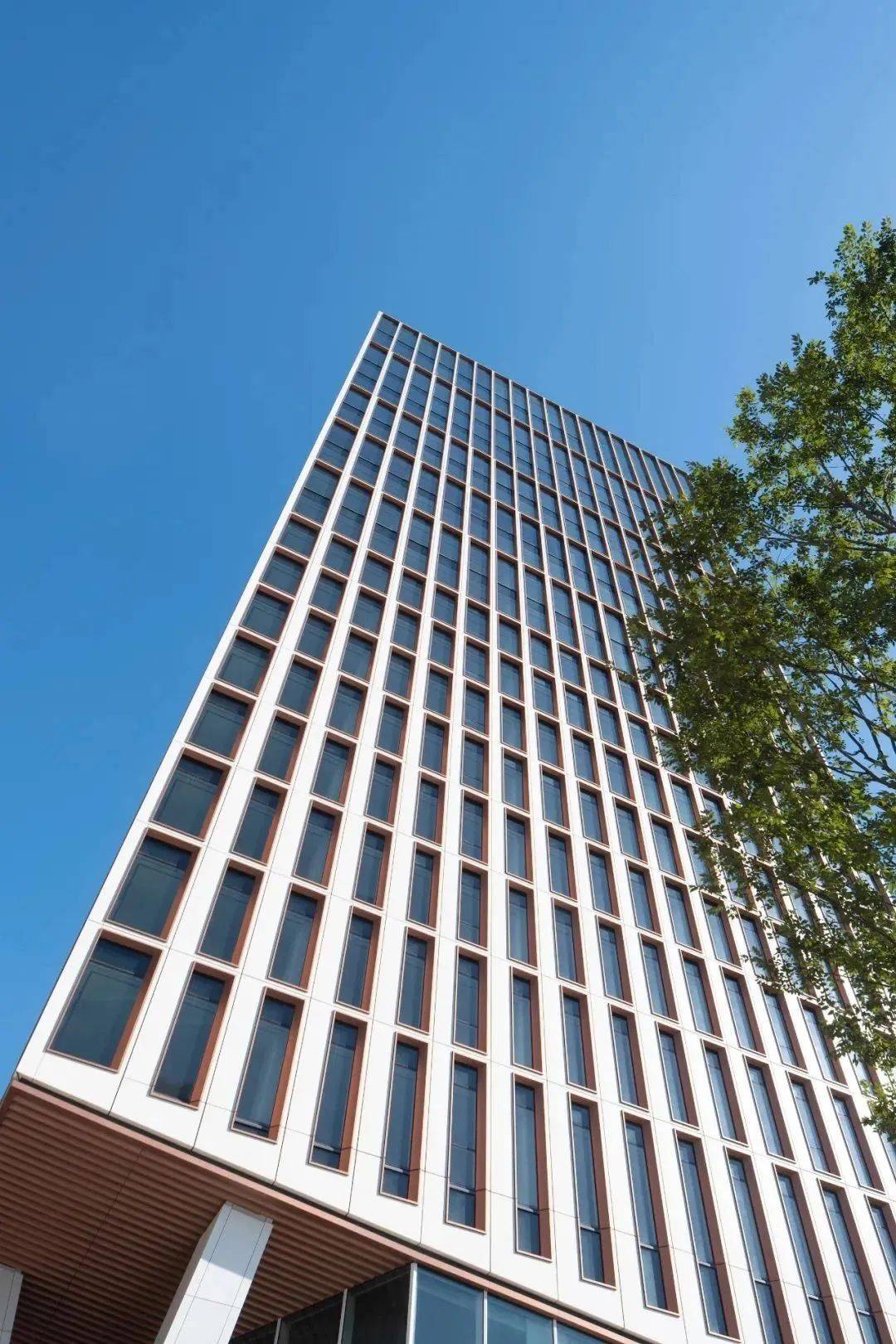 金螳螂 | 上海国华金融中心