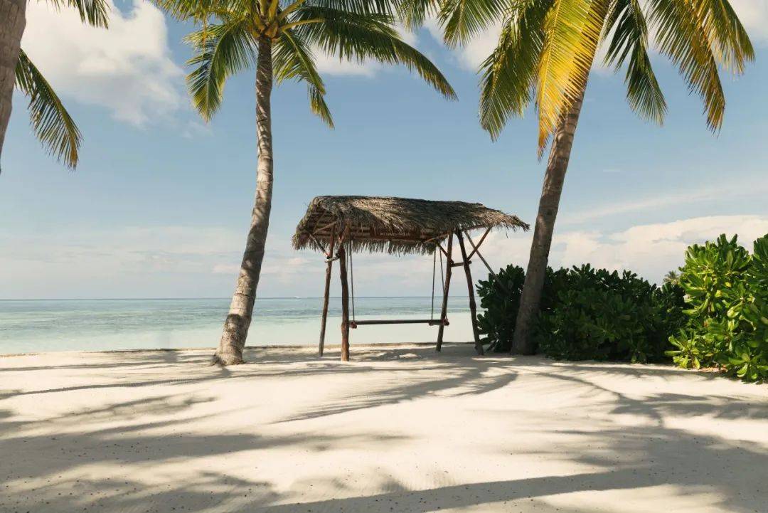 马尔代夫到底有多美?带你感受一下!_活动_度假村_餐厅