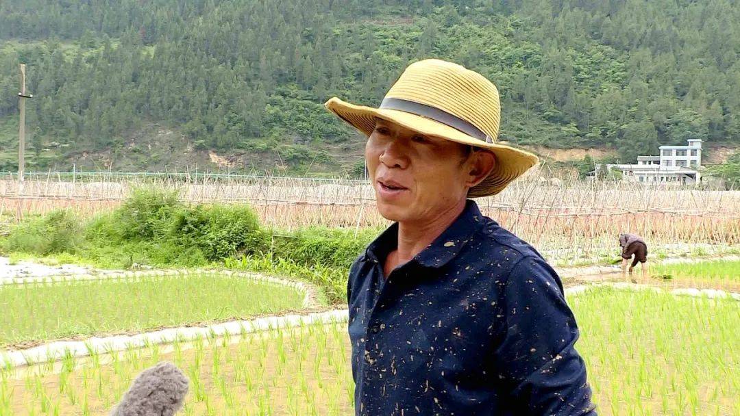 【乡风文明】旧营乡:打田插秧正当时 红米种植促振兴