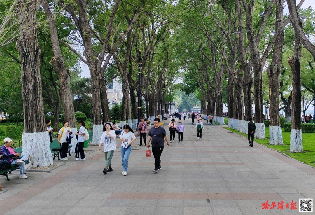 🌸【澳门天天开彩好正版挂牌】🌸_各区各单位网络形象建设榜 | 5-6月榜单出炉！这些区和单位表现优异，共创美好城市网络形象