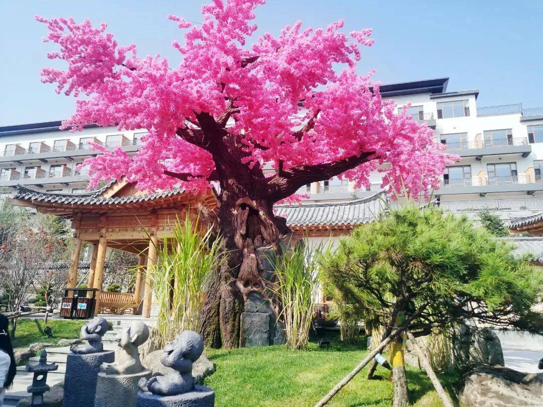 200余项端午节活动抢先看>) 琵岩山文化旅游风景区福利优惠:琵岩山