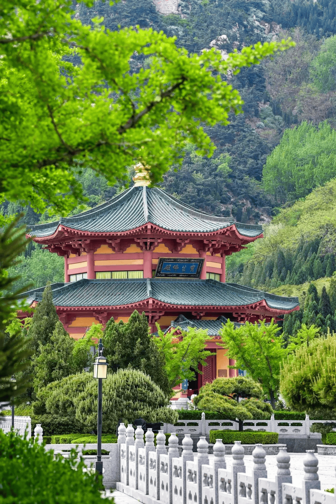 龙口景点排行榜前十名图片