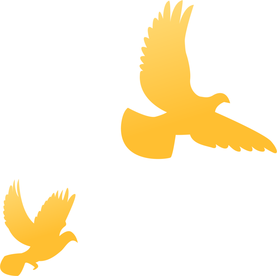 带你寻觅公园里的"红色印记"