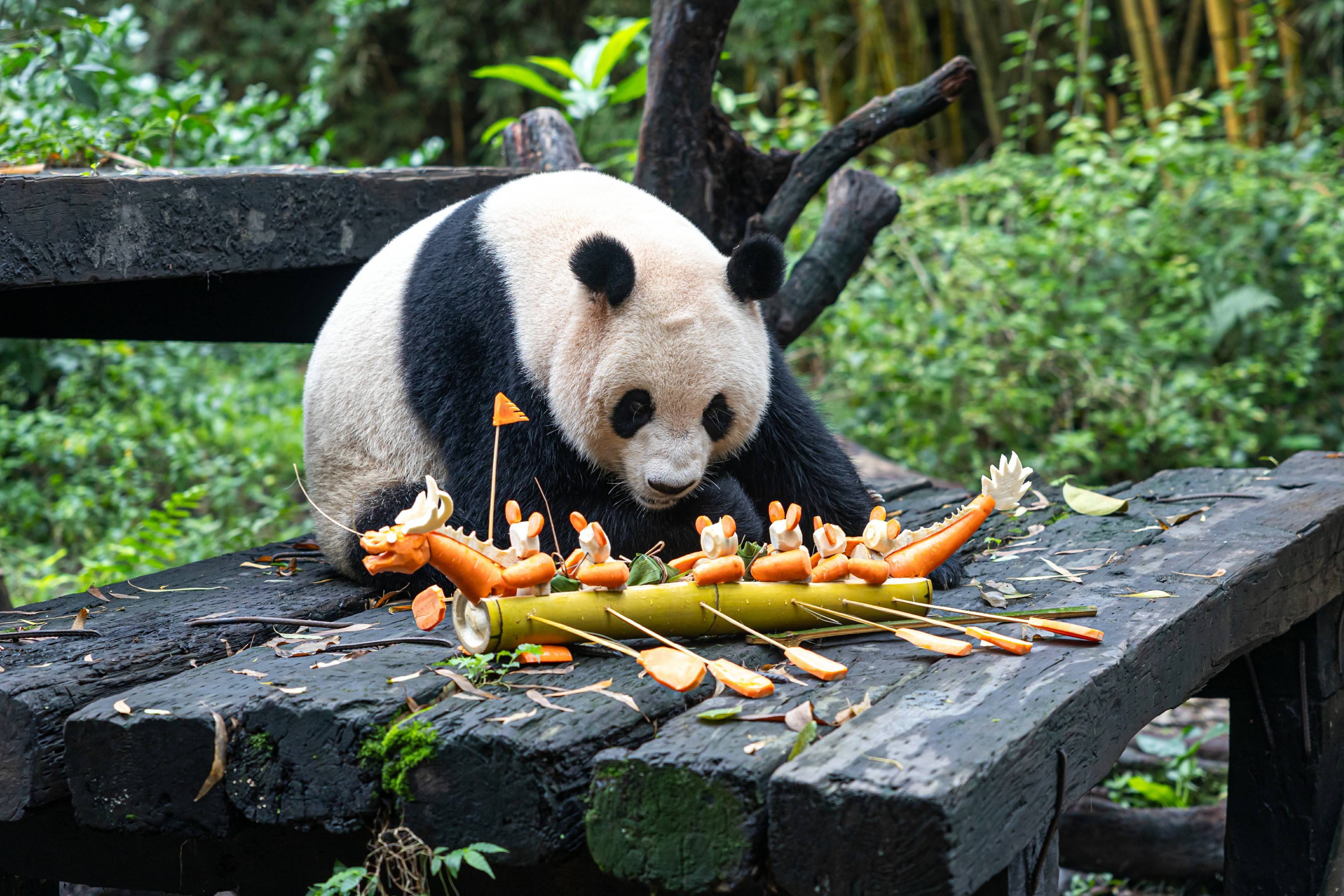 这次共创的端午丰容作品群最终能否过关,还要由大熊猫家族的各大"小主