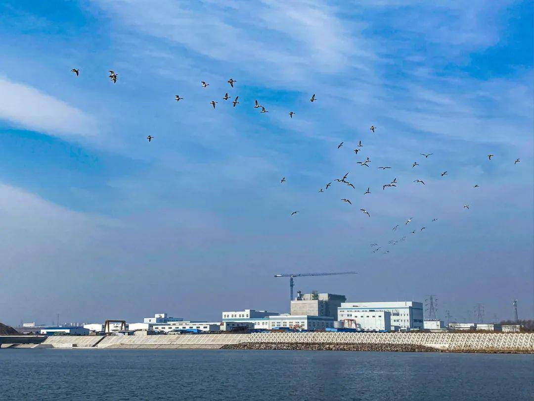 山东荣成石岛湾核电站图片