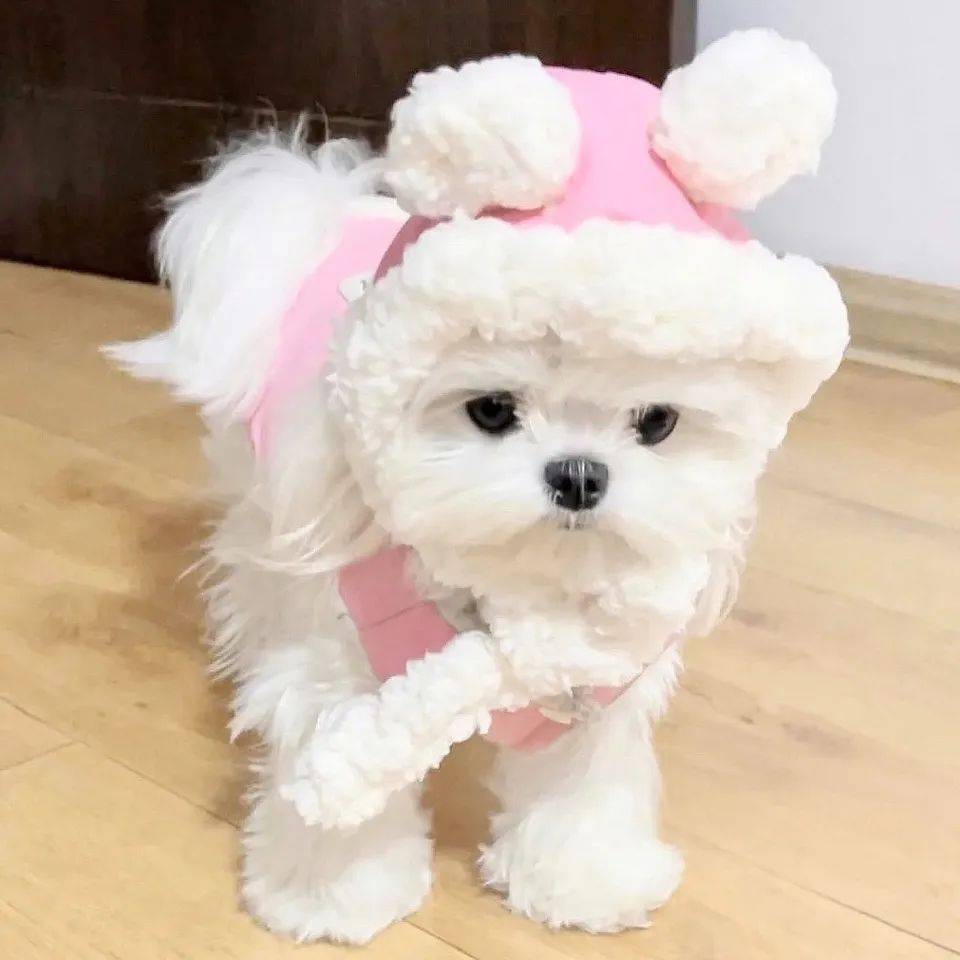 头像 | 永远快乐自由感头像