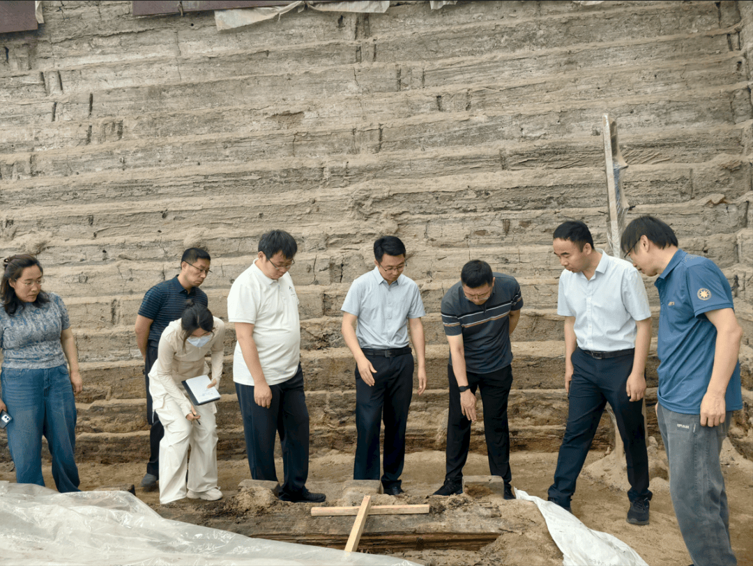 国家文物局来菏泽调研考古发掘和大遗址保护工作_王陵_定陶王_墓地