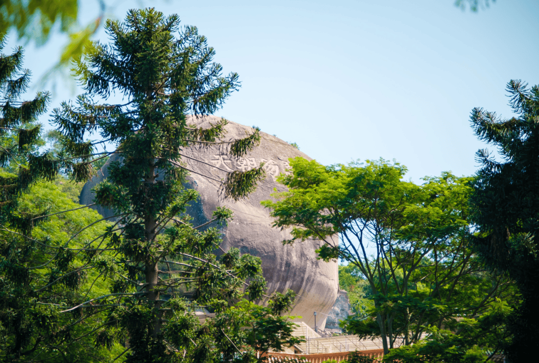 端午假期厦门哪里好玩?看这篇攻略就够了!