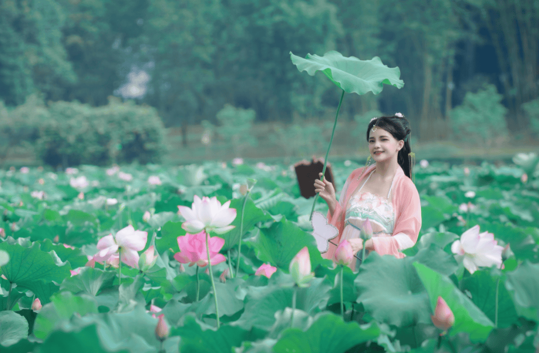 【6月18日仅一期】英德峰林荷花绽放!美到极致 !