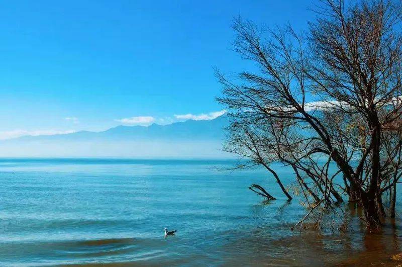 阳宗海_通海_洱海