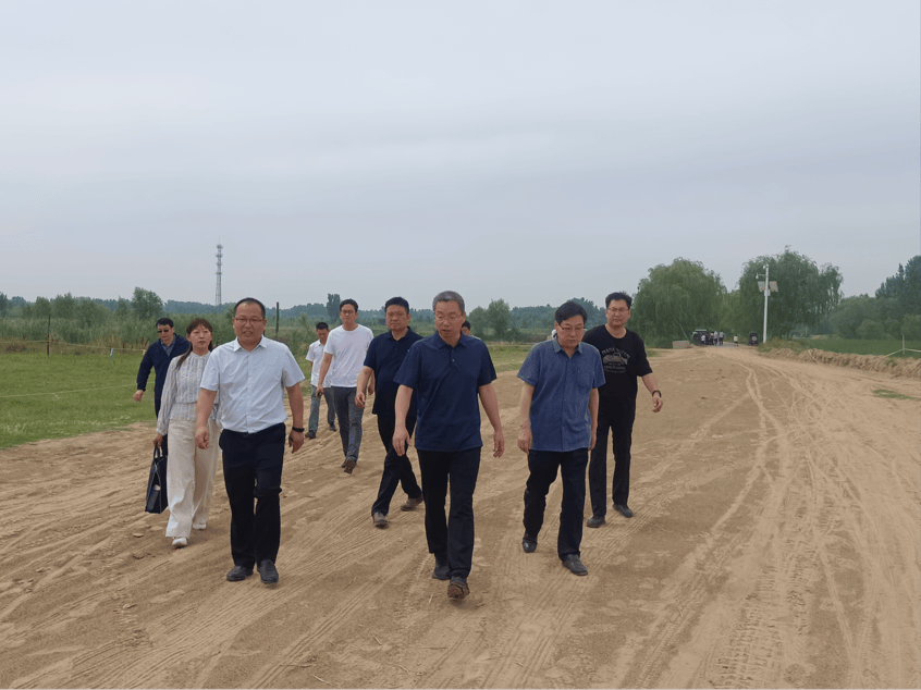 【攻坚在行动】龙亭区领导率队督导检查重点区域生态环境整治工作