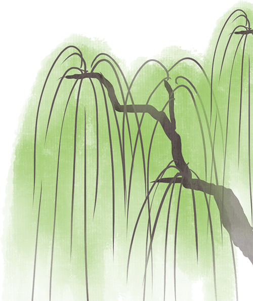 家校共育,携手同行