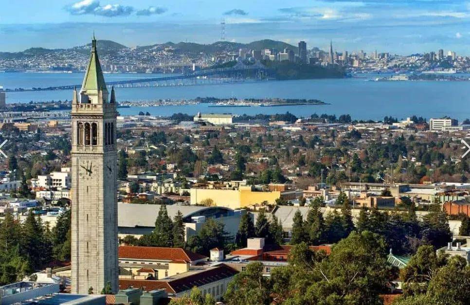 生化交织绘梦:我在加州大学伯克利分校谱写新的乐章