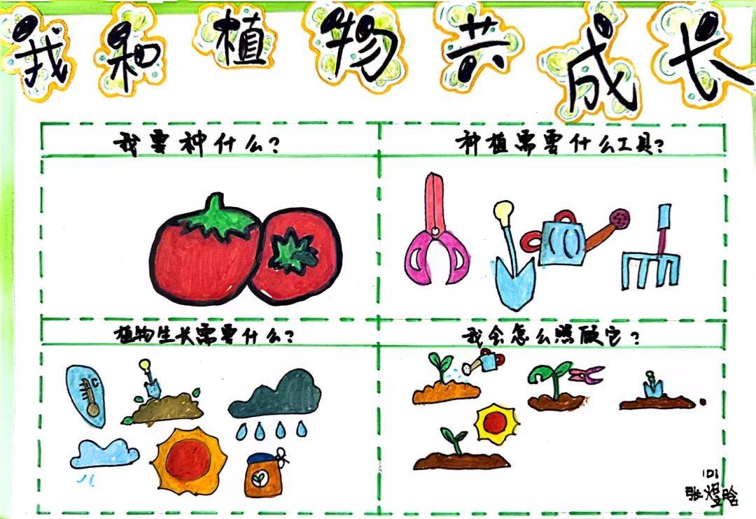 芦荟的变化过程图图片