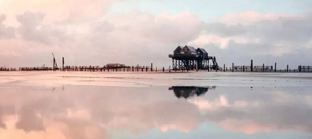 言论及语丝摘集