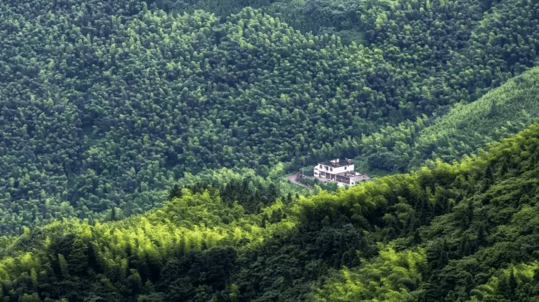 就冲这些美食美景,端午就值得来一趟筠连!