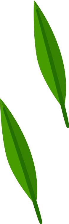 "粽"享欢乐时光!三条线路带你解锁遛娃新姿势