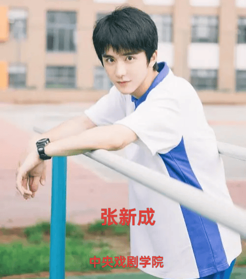 张新成高考分数为560分,这是一个很不错的分数,作为当年的中戏北电上