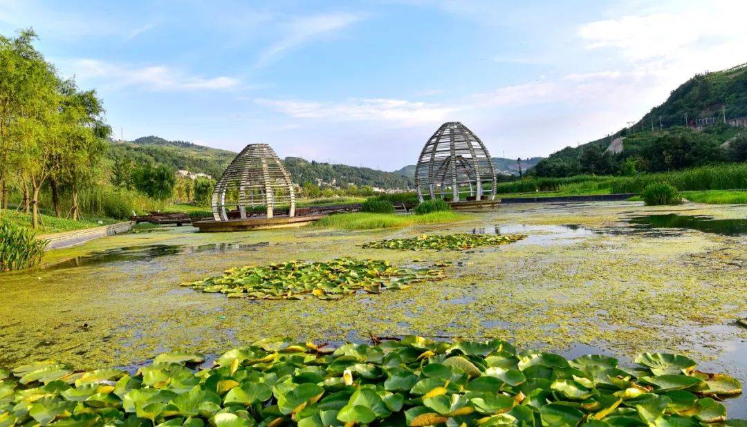 光明日报:新澳门资料大全正版资料-城市：国家统计局：8月份，31个大城市城镇调查失业率为5.4%  第2张