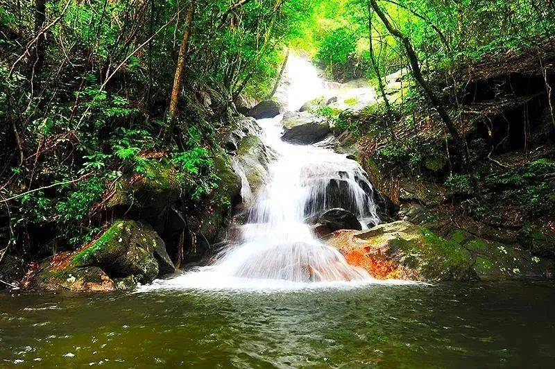 惠州这个国家5a级旅游景区,免票!