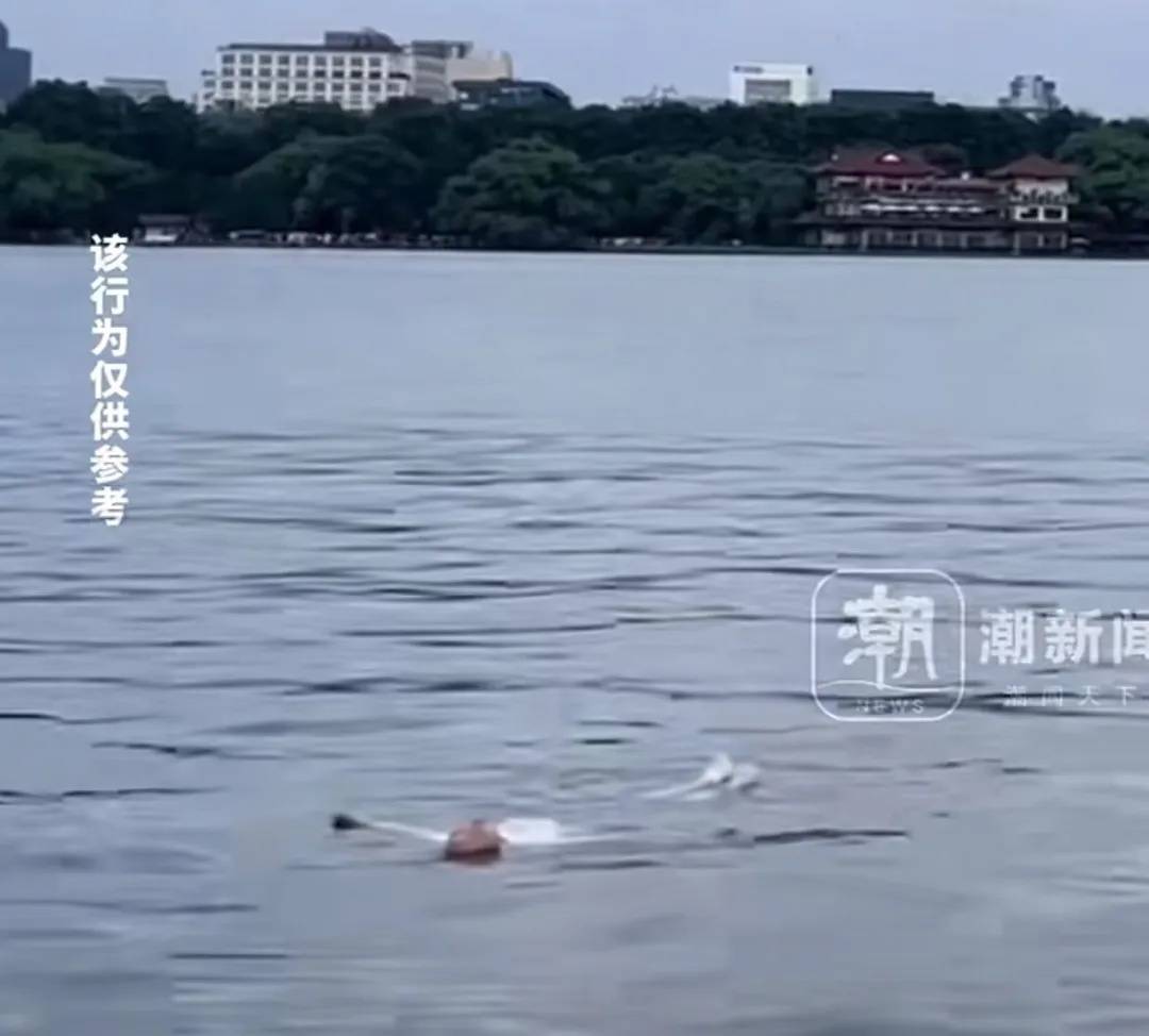 女子落水后的一个动作,网友直呼机智!
