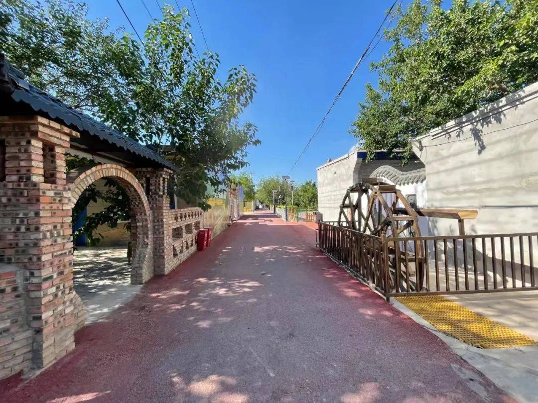 【乡村行 看振兴】崇兴镇中北村:百年古桑见证乡村蝶变 产业发展引领